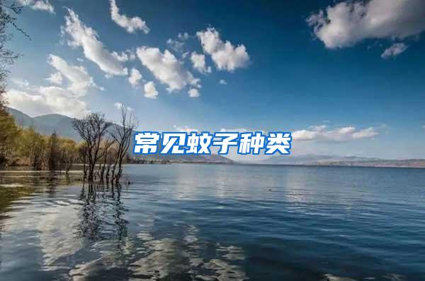 常見蚊子種類