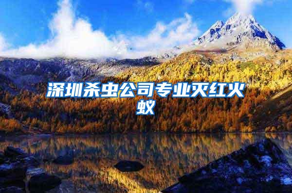 深圳殺蟲公司專業滅紅火蟻