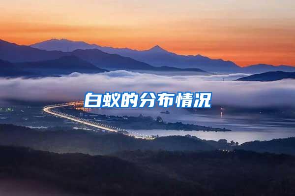 白蟻的分布情況