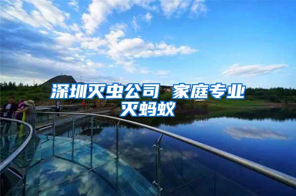 深圳滅蟲公司 家庭專業滅螞蟻
