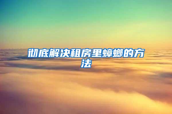 徹底解決租房里蟑螂的方法