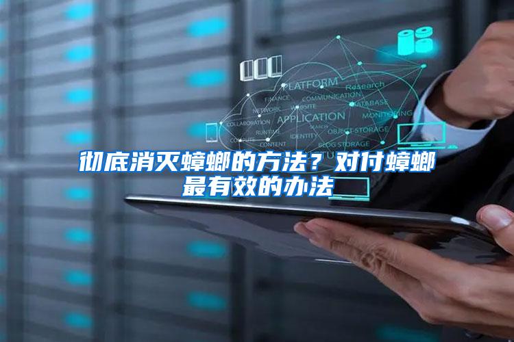 徹底消滅蟑螂的方法?對付蟑螂最有效的辦法