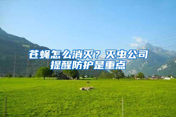 蒼蠅怎么消滅?滅蟲公司提醒防護(hù)是重點(diǎn)