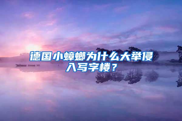 德國小蟑螂為什么大舉侵入寫字樓?