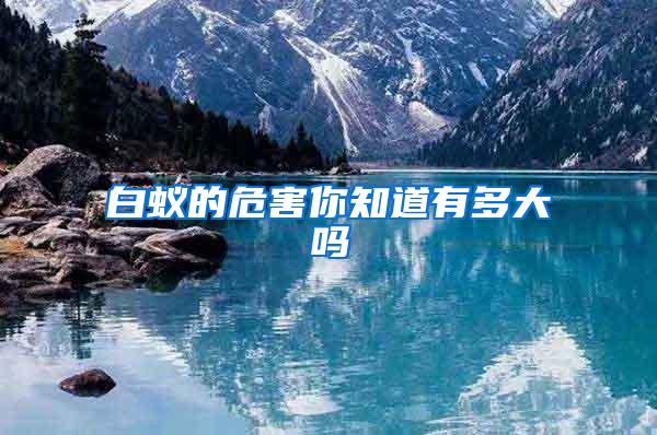 白蟻的危害你知道有多大嗎