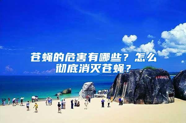 蒼蠅的危害有哪些？怎么徹底消滅蒼蠅？