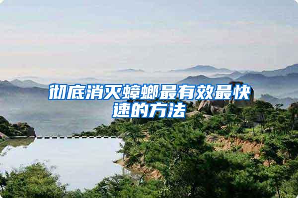 徹底消滅蟑螂最有效最快速的方法