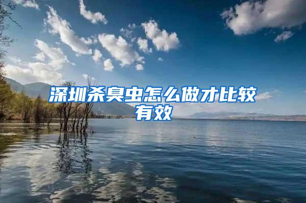 深圳殺臭蟲怎么做才比較有效