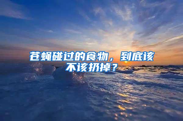 蒼蠅碰過的食物,到底該不該扔掉?