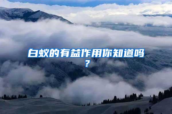 白蟻的有益作用你知道嗎？