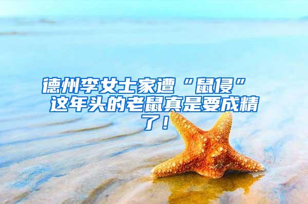 德州李女士家遭“鼠侵” 這年頭的老鼠真是要成精了!