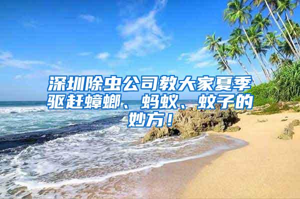 深圳除蟲公司教大家夏季驅趕蟑螂、螞蟻、蚊子的妙方！