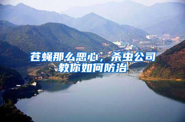 蒼蠅那么惡心，殺蟲公司教你如何防治