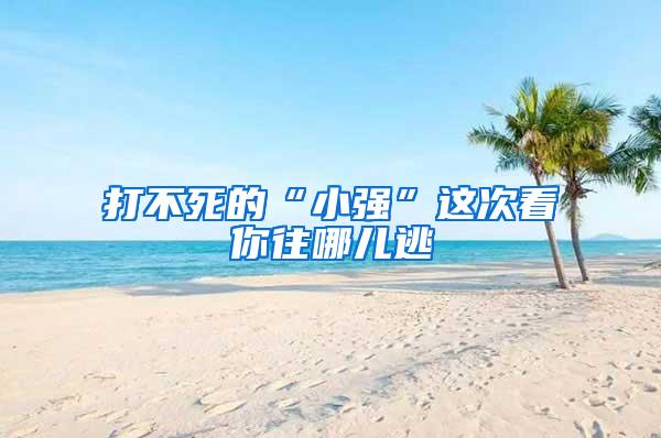 打不死的“小強”這次看你往哪兒逃