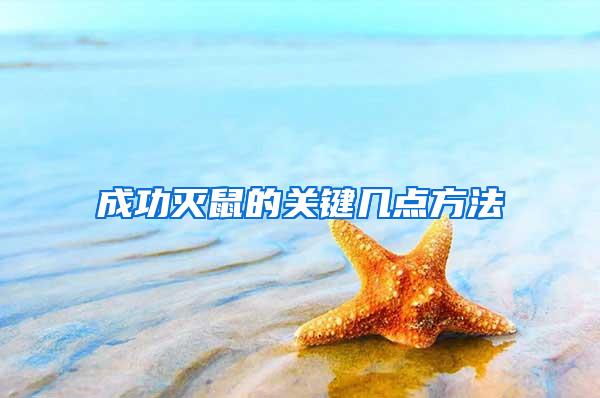 成功滅鼠的關鍵幾點方法