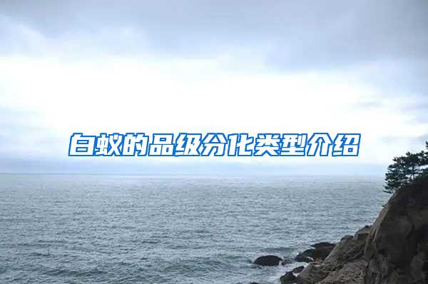 白蟻的品級分化類型介紹