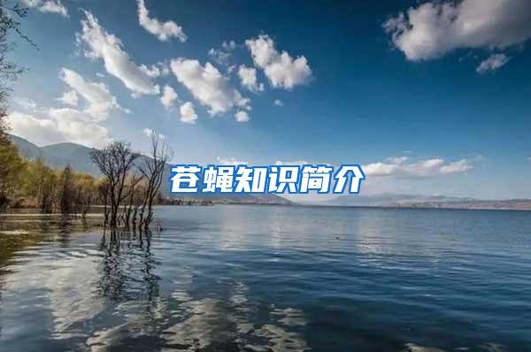 蒼蠅知識簡介