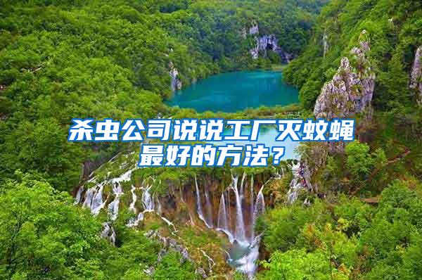 殺蟲公司說說工廠滅蚊蠅最好的方法？