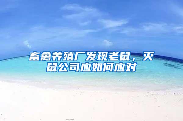 畜禽養(yǎng)殖廠發(fā)現(xiàn)老鼠,滅鼠公司應(yīng)如何應(yīng)對(duì)