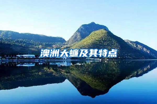 澳洲大蠊及其特點(diǎn)