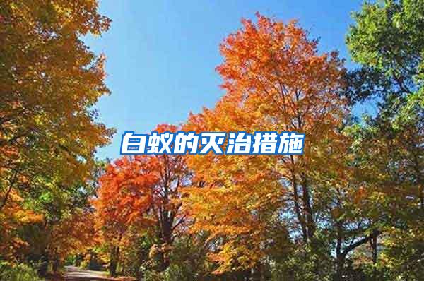 白蟻的滅治措施