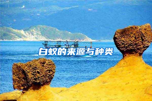 白蟻的來源與種類