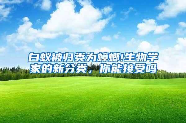 白蟻被歸類為蟑螂!生物學家的新分類,你能接受嗎