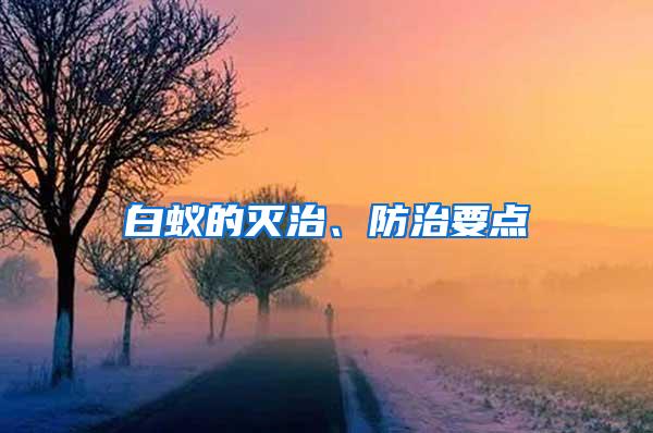 白蟻的滅治、防治要點