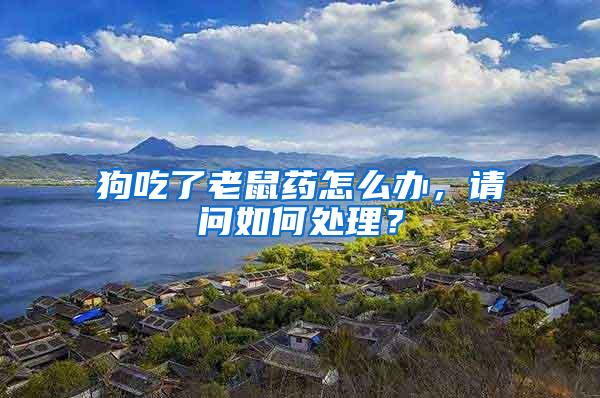 狗吃了老鼠藥怎么辦，請問如何處理？