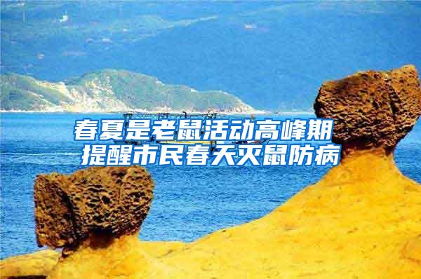 春夏是老鼠活動(dòng)高峰期 提醒市民春天滅鼠防病
