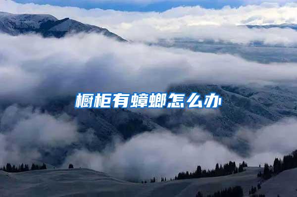 櫥柜有蟑螂怎么辦