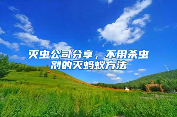 滅蟲公司分享，不用殺蟲劑的滅螞蟻方法