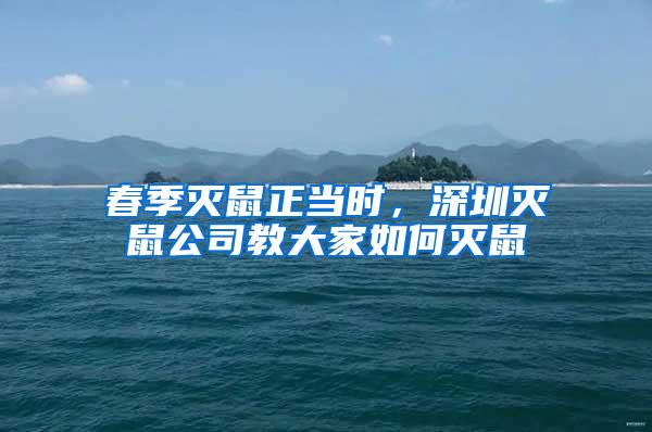 春季滅鼠正當(dāng)時(shí),深圳滅鼠公司教大家如何滅鼠
