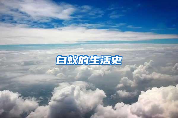 白蟻的生活史