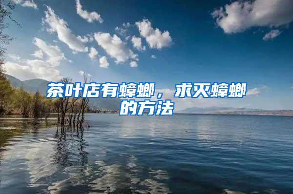 茶葉店有蟑螂，求滅蟑螂的方法