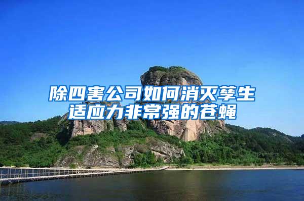 除四害公司如何消滅孳生適應力非常強的蒼蠅
