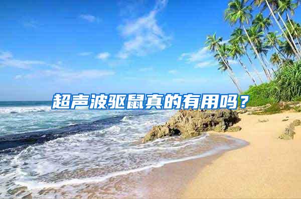 超聲波驅鼠真的有用嗎？