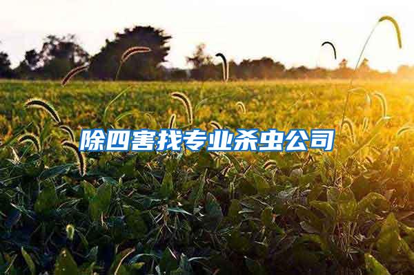 除四害找專業(yè)殺蟲公司
