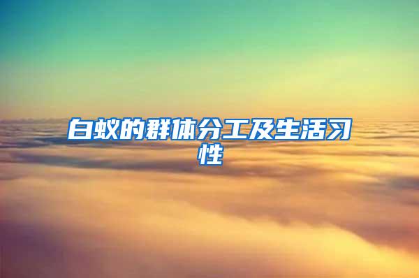 白蟻的群體分工及生活習性