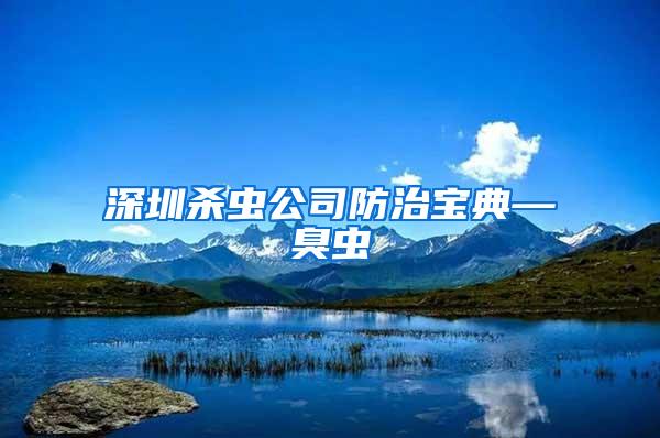 深圳殺蟲公司防治寶典—臭蟲
