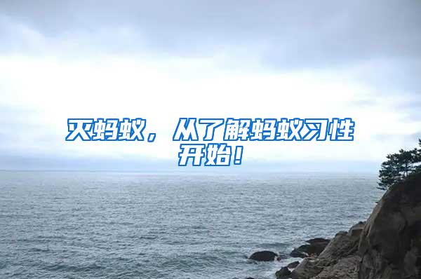 滅螞蟻，從了解螞蟻習(xí)性開始！