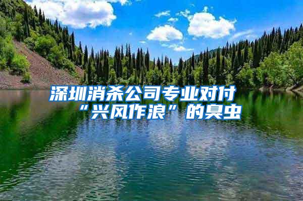 深圳消殺公司專業(yè)對(duì)付“興風(fēng)作浪”的臭蟲