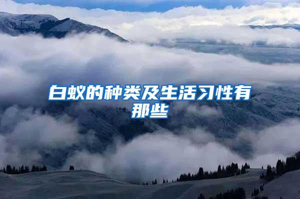 白蟻的種類及生活習性有那些