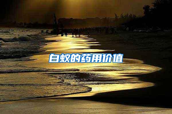 白蟻的藥用價值