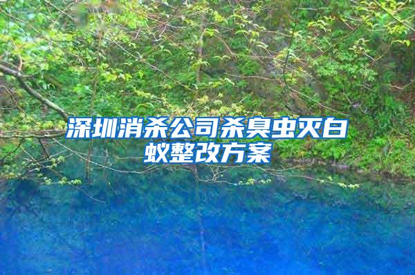 深圳消殺公司殺臭蟲滅白蟻整改方案