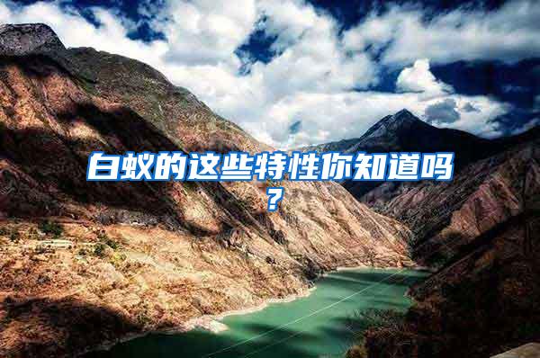 白蟻的這些特性你知道嗎?