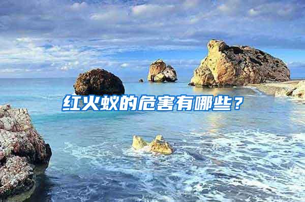 紅火蟻的危害有哪些?