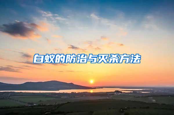 白蟻的防治與滅殺方法