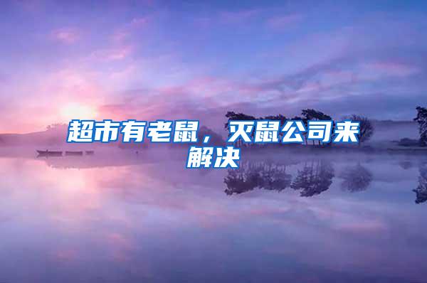 超市有老鼠,滅鼠公司來解決