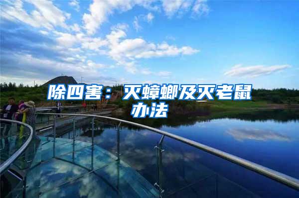 除四害:滅蟑螂及滅老鼠辦法